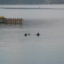 walchensee26.jpg