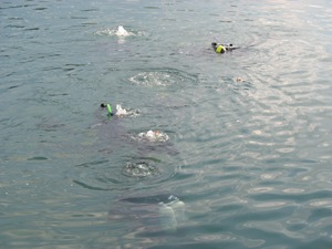 ./walchensee24.jpg