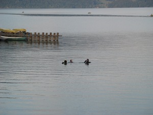 ./walchensee26.jpg