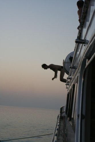 ./IMG_0903.JPG