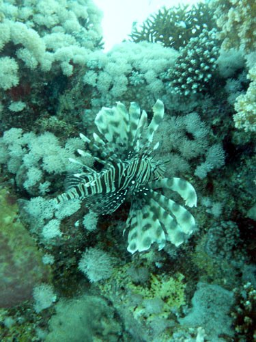 ./P1000074.JPG