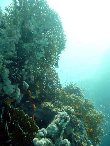 ./P1000076.JPG