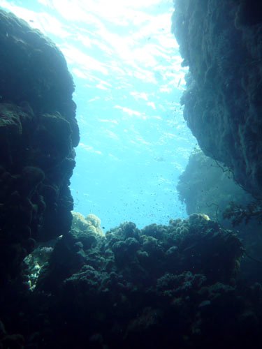 ./P1000174.JPG