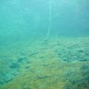Fernsteinsee09_230.jpg