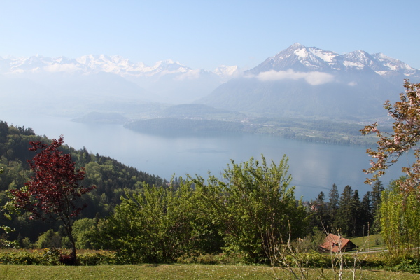 ./Thunersee101.jpg