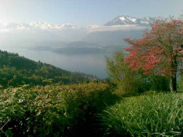 ./Thunersee106.jpg