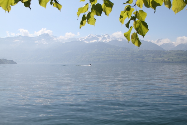 ./Thunersee110.jpg
