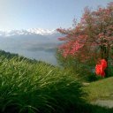 Thunersee139.jpg