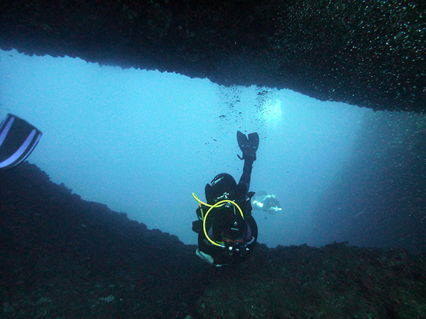./gozo_119.jpg
