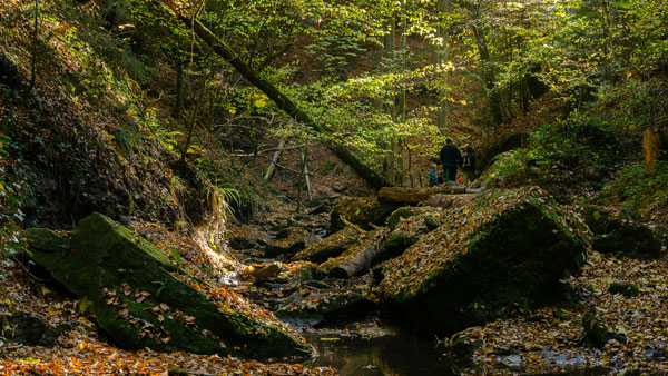 ./wandern-in-murrhardt_107.jpg