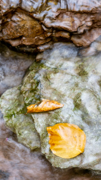./wandern-in-murrhardt_108.jpg